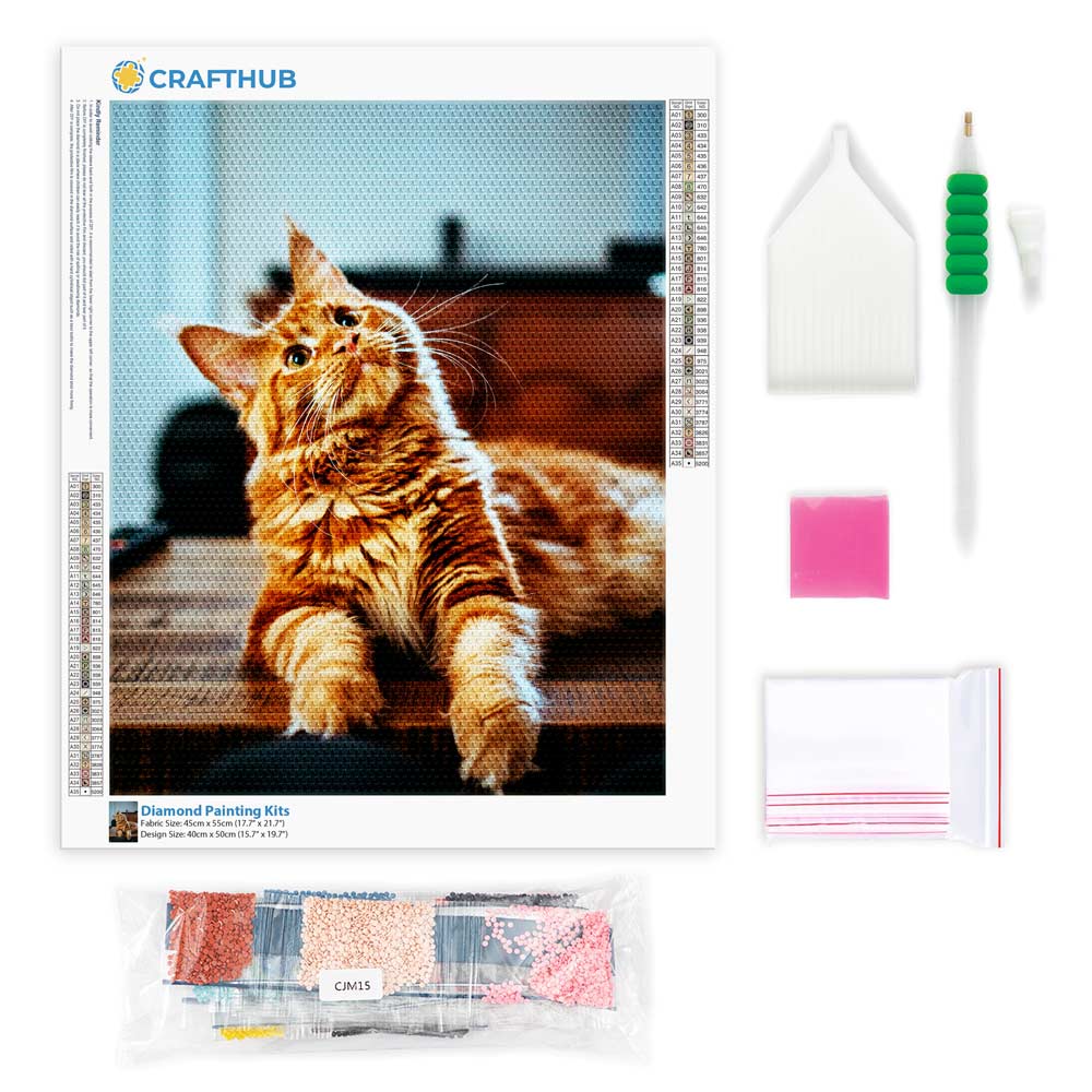 Diamond Painting Kits 15.7" x 19.6" (40 x 50cm) Custom Diamond Painting Kit