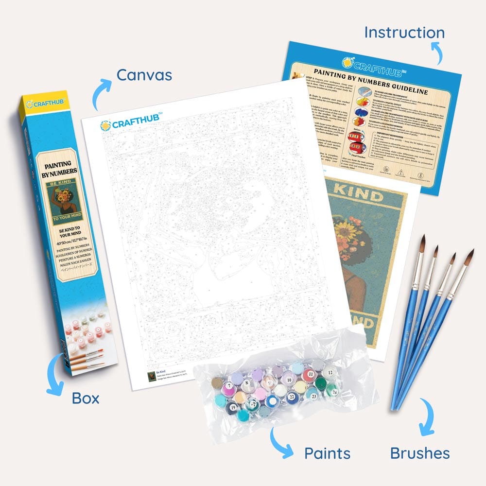 Painting By Numbers Kits 15.7" x 19.6" (40 x 50cm) Alaskan Night Sky - Paint By Numbers Kit