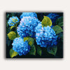 Painting By Numbers Kits 15.7
