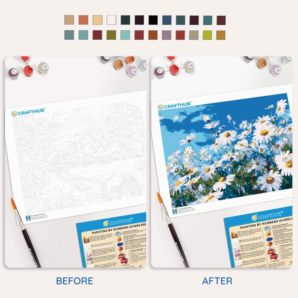 Painting By Numbers Kits 15.7" x 19.6" (40 x 50cm) Summer Daisies - Paint By Numbers Kit