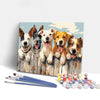 Painting By Numbers Kits 15.7