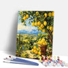 Painting By Numbers Kits 15.7