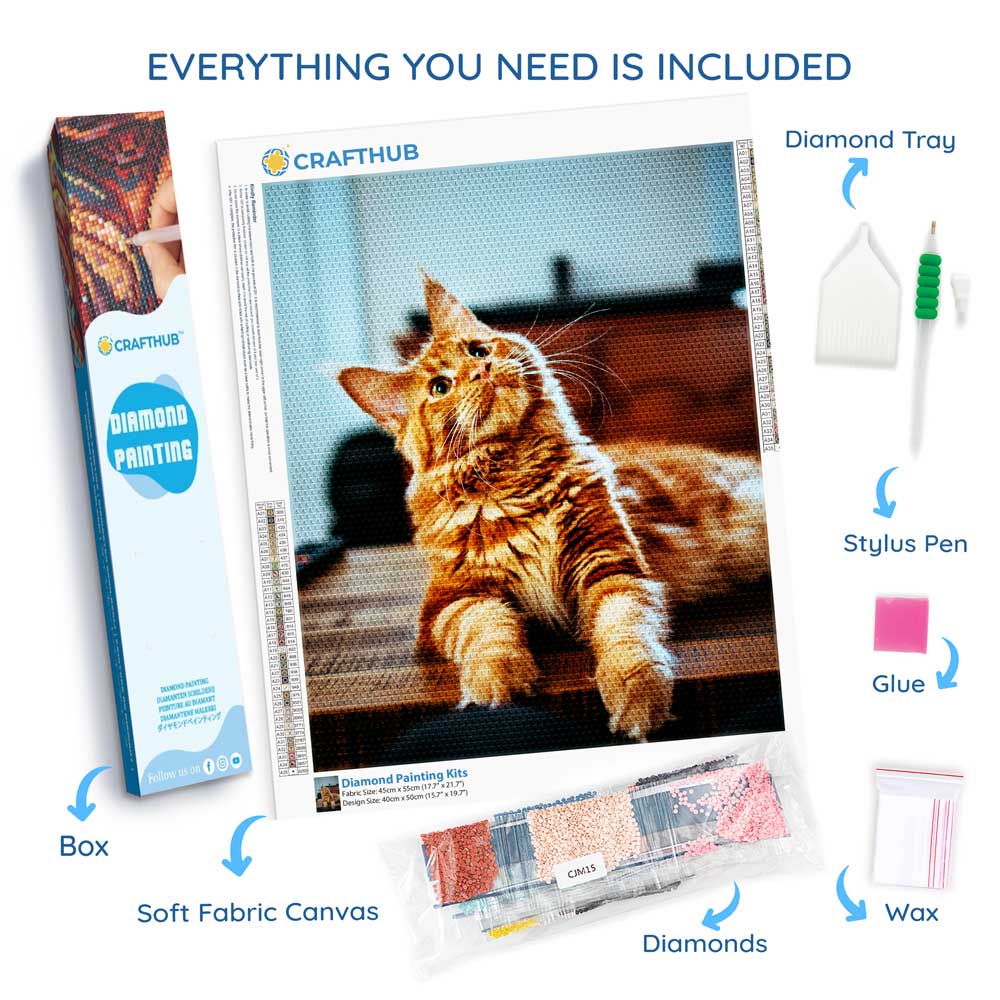 Diamond Painting Kits 15.7" x 19.6" (40 x 50cm) Custom Diamond Painting Kit