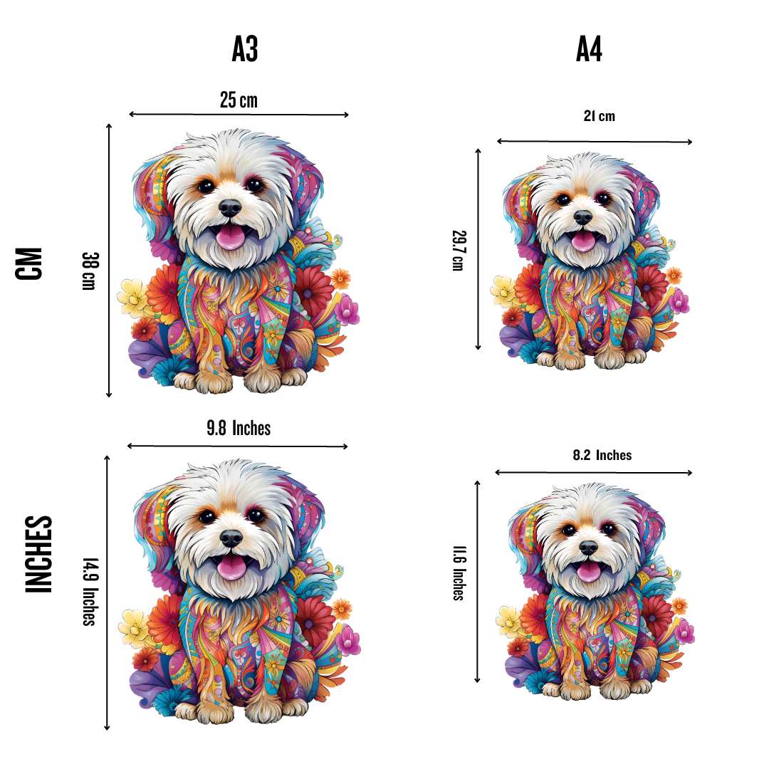 Malteser Hund - Puzzel