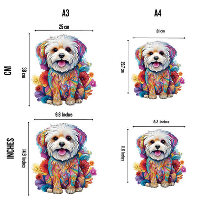 Malteser Hund - Puzzel