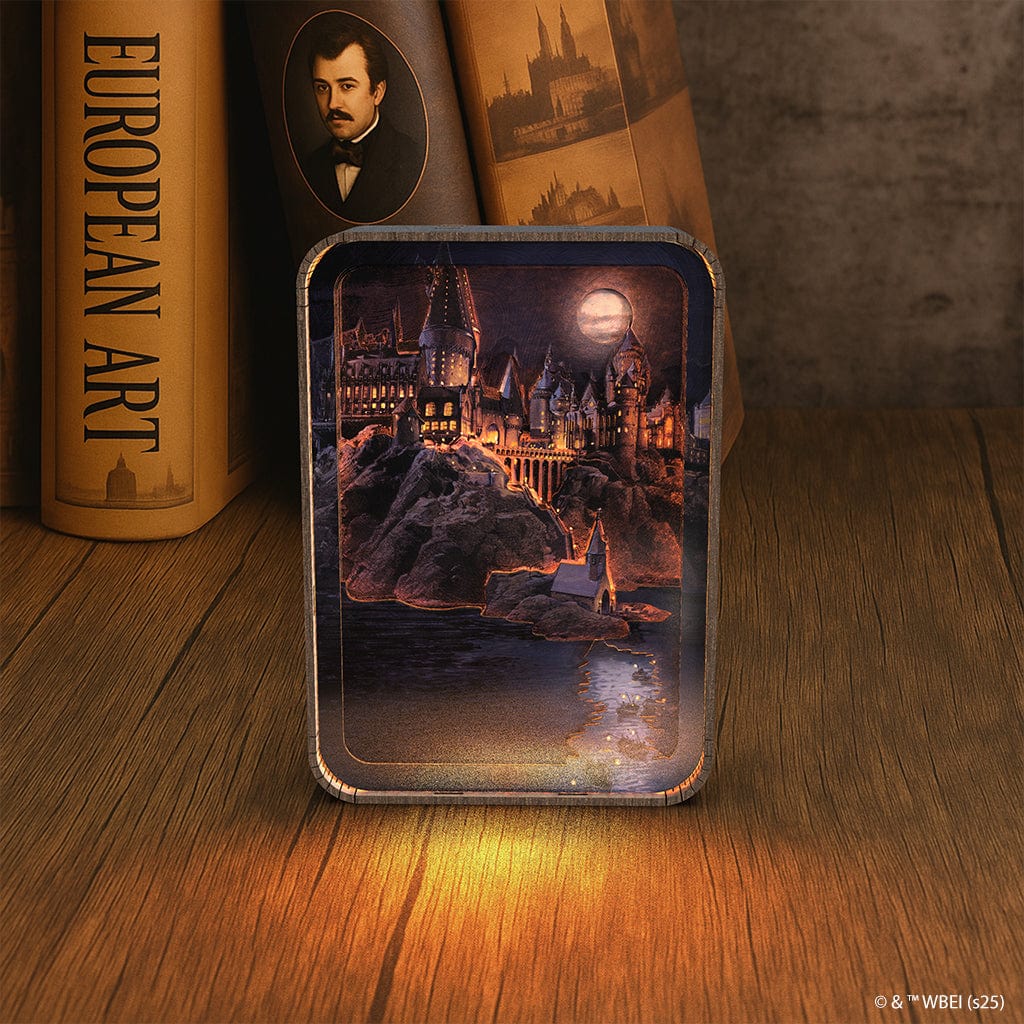 3D Holzpuzzle Hogwarts In The Moonlight Hogwarts In The Moonlight - 3D DIY Wooden Puzzle Night Lamp