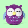 Sleepy Owl Sleepy Owl - Crochet Kit