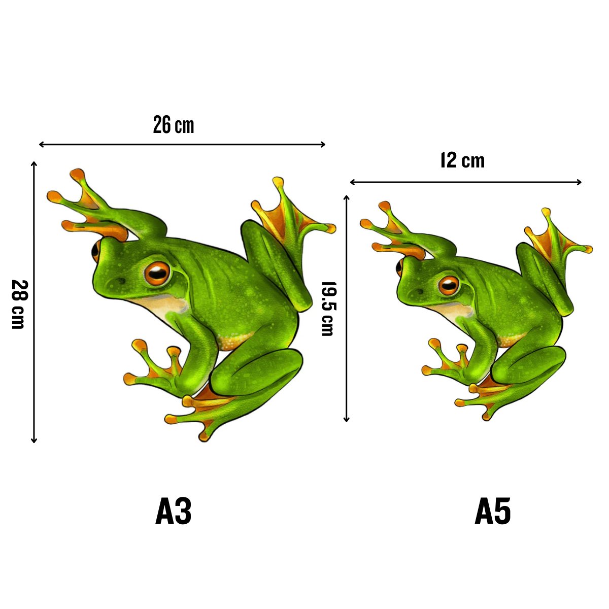 Frosch - Puzzel