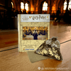 Animal Jigsaw Puzzle > Wooden Jigsaw Puzzle > Jigsaw Puzzle Harry Potter - Dumbledore and The Great Hall Wooden Jigsaw Puzzle