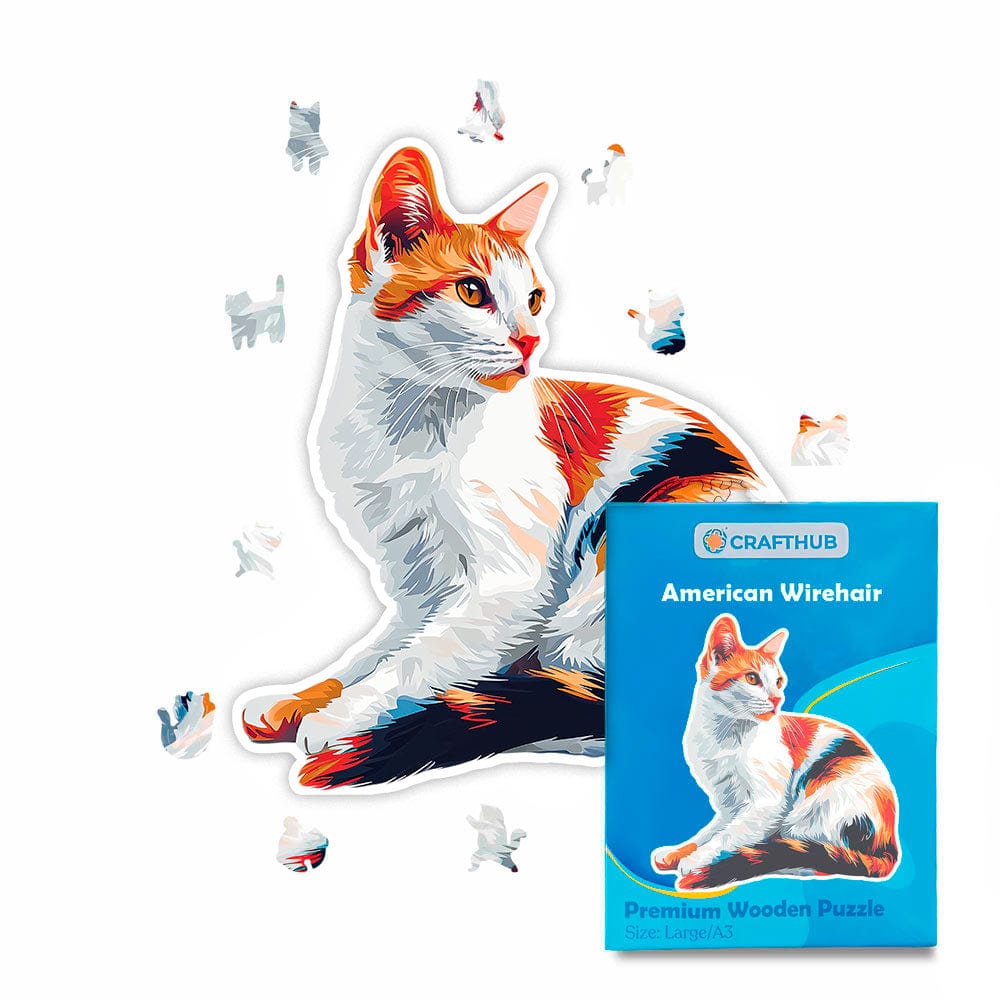 Animal Jigsaw Puzzle > Wooden Jigsaw Puzzle > Jigsaw Puzzle A4 + Paper Box American Wirehair Cat - Jigsaw Puzzle