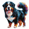 Berner Sennenhund - Diamant Malset