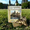 Lade das Bild in den Galerie-Viewer, Animal Jigsaw Puzzle &gt; Wooden Jigsaw Puzzle &gt; Jigsaw Puzzle Harry Potter - Hogwarts Castle Wooden Jigsaw Puzzle