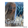 Lade das Bild in den Galerie-Viewer, Animal Jigsaw Puzzle &gt; Wooden Jigsaw Puzzle &gt; Jigsaw Puzzle Gandalf The Guardian of Middle Earth - Wooden Jigsaw Puzzle