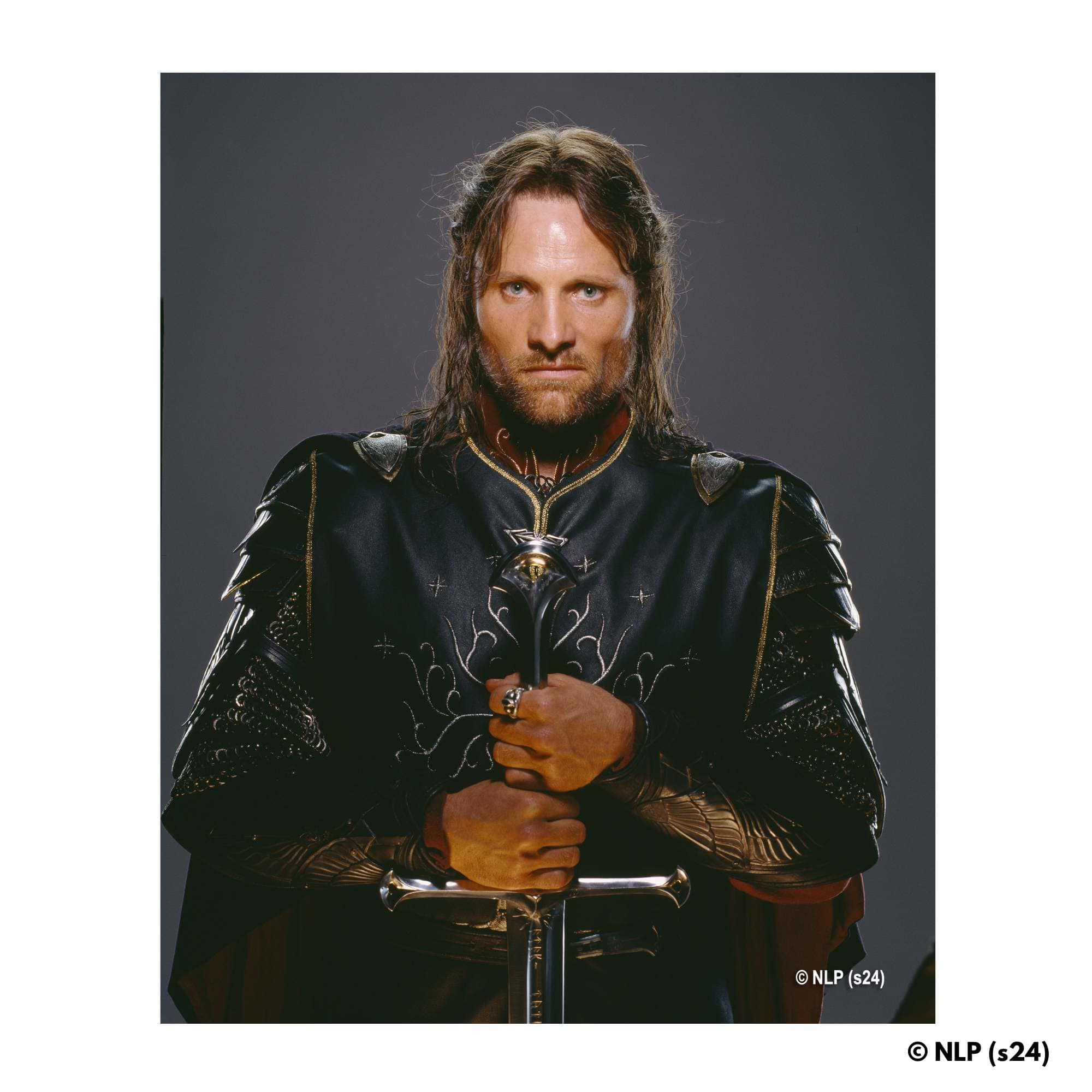 Animal Jigsaw Puzzle > Wooden Jigsaw Puzzle > Jigsaw Puzzle The Heir of Isildur - Wooden Jigsaw Puzzle